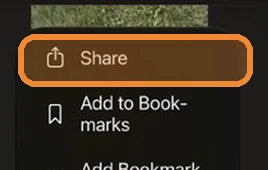 Share action highlighted
